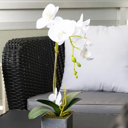 The White Corner By Homestaygrancanaria Apartment *